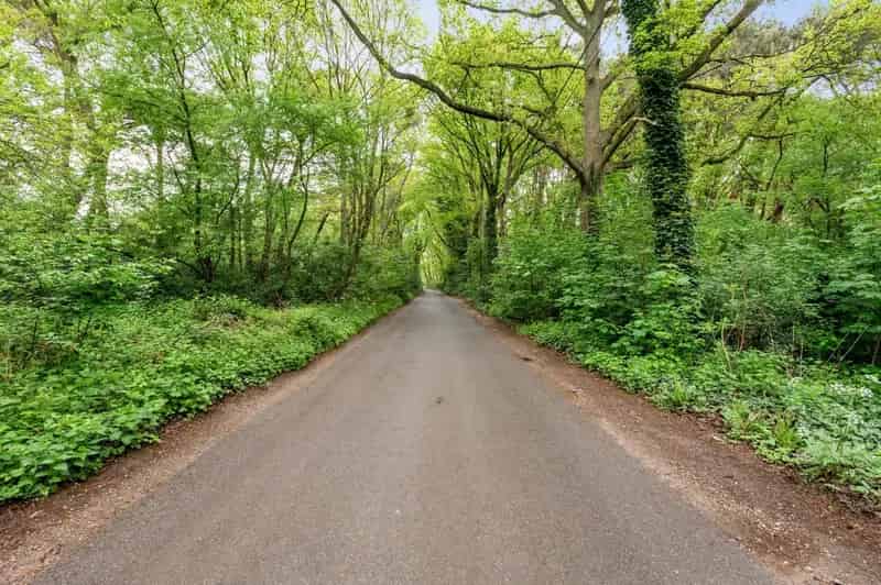 Bosgrond 1000m² te koop