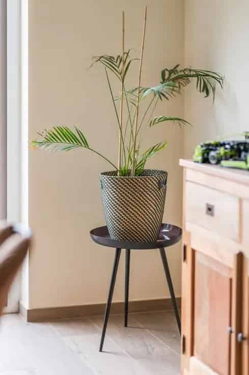 Appartement Te Koop Nabij Centrum Kemzeke
