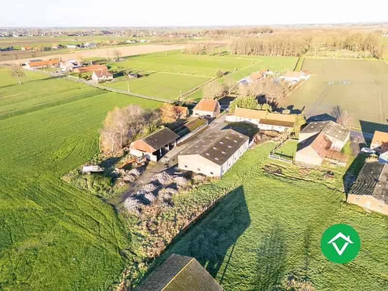 Authentieke Hofstede Koekelare Landelijke Omgeving