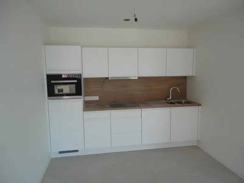 Appartement te huur in Kluizen