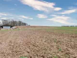 Landbouwgrond 8ha te koop Tourinnes-la-Grosse