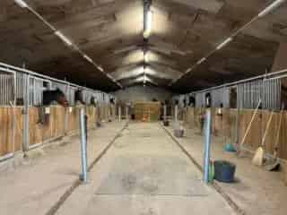 Kasteel te koop Nandrin - Paardenkwekerij met 19 boxen