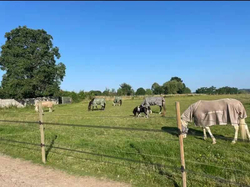 Huis te huur met paardenstallen en weide in bouwzone
