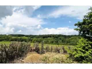 Grond te koop Court-Saint-Etienne