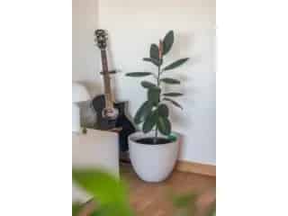 Duplex Appartement Sint Niklaas