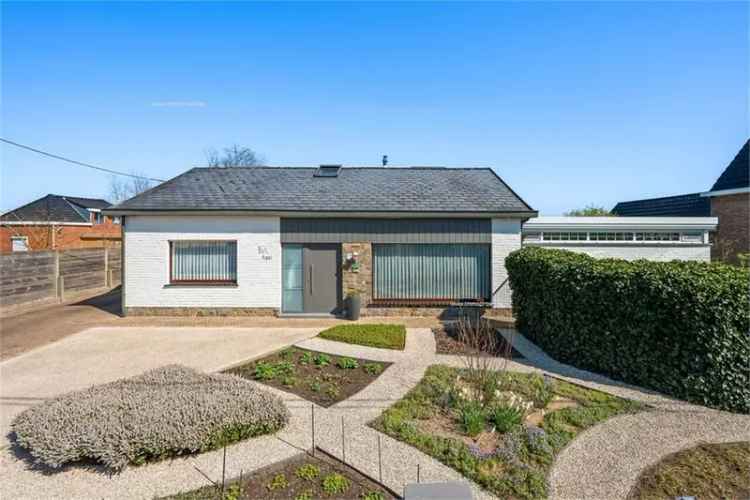 Huis te koop Laarne 4 slaapkamers grote tuin