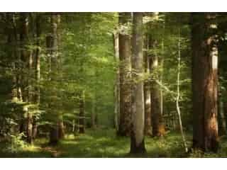 Grond te koop Farciennes 31,87 hectare