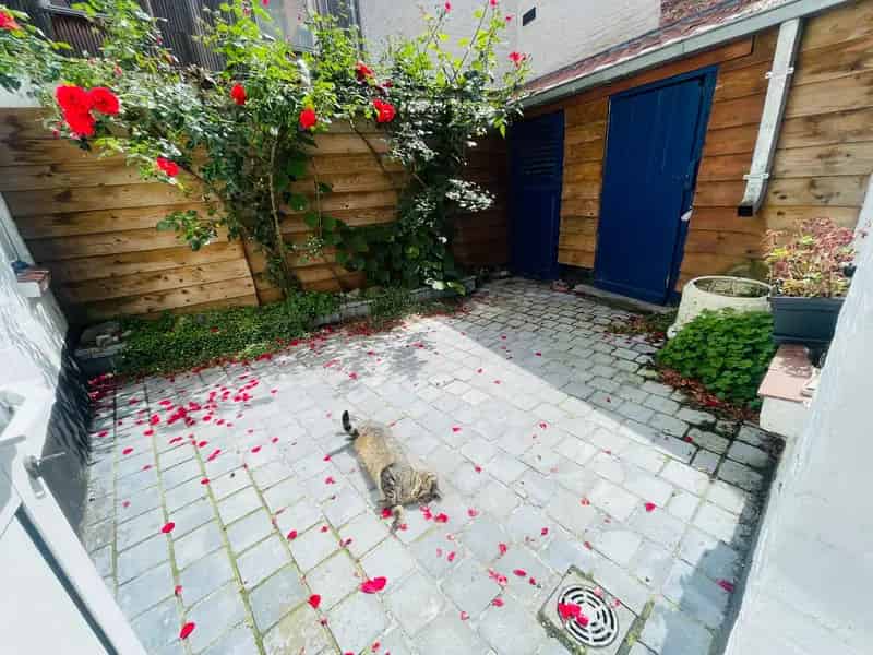 Huis te huur Brugge Centrum: Charmante woning met stadspatio