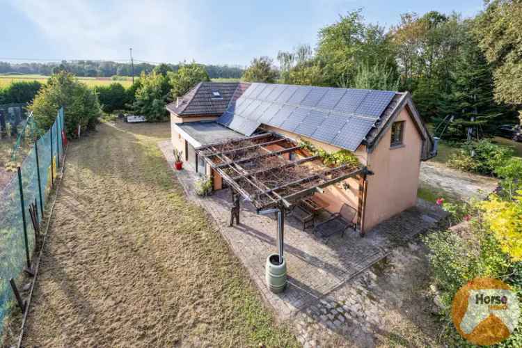 VELTEM-BEISEM - Woning met weilanden en eigen bos op 3ha32