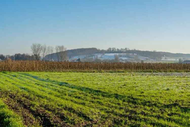 Opportuniteit nabij de Koppenberg