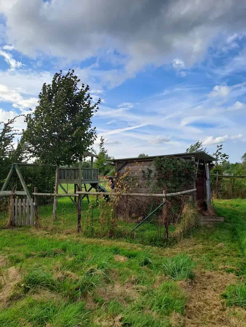 Grond te huur Laarne 3859m2 Paardvriendelijke Weide Paddock Paradise