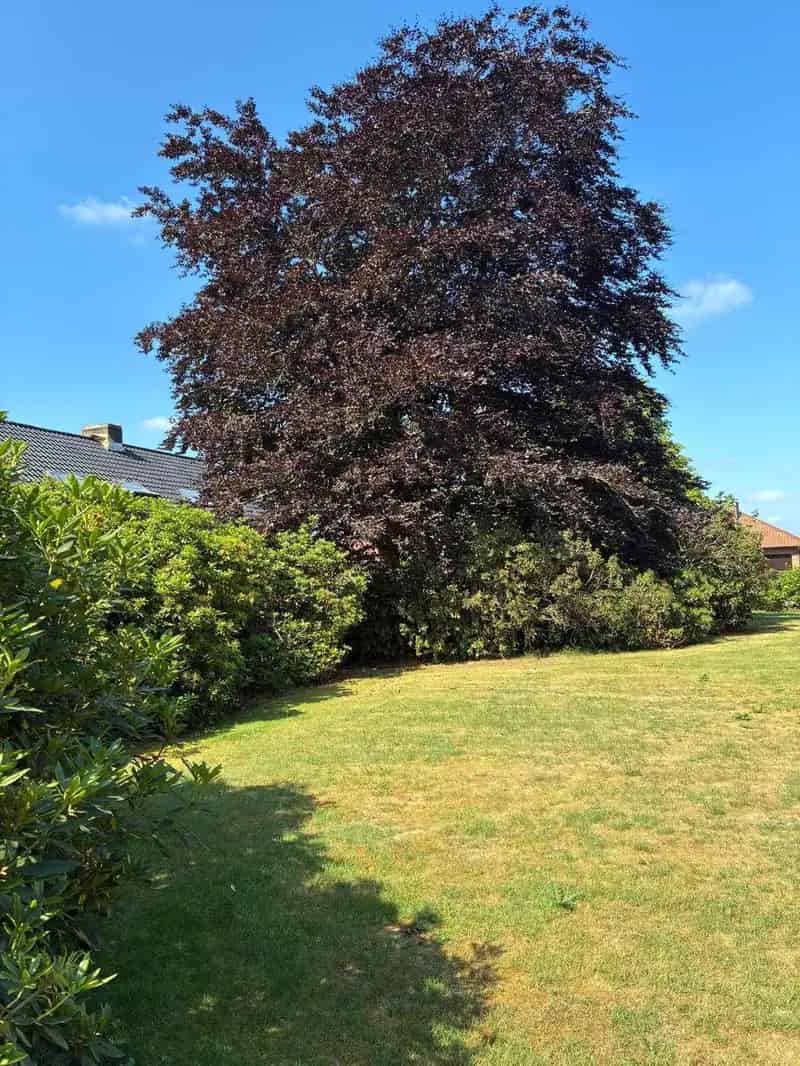 Bouwgrond 1164m² Oost-Zuid Lage Darisdonk