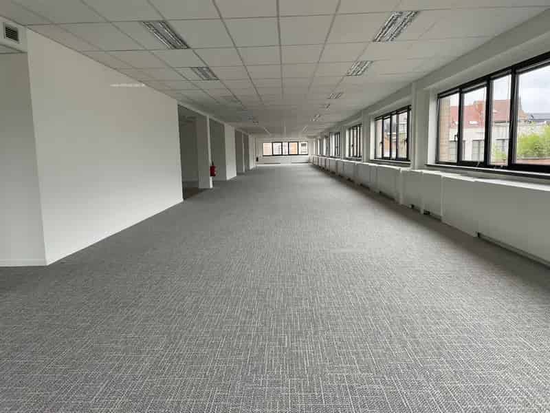 Kantoorruimte te huur Ruisbroek 587m²