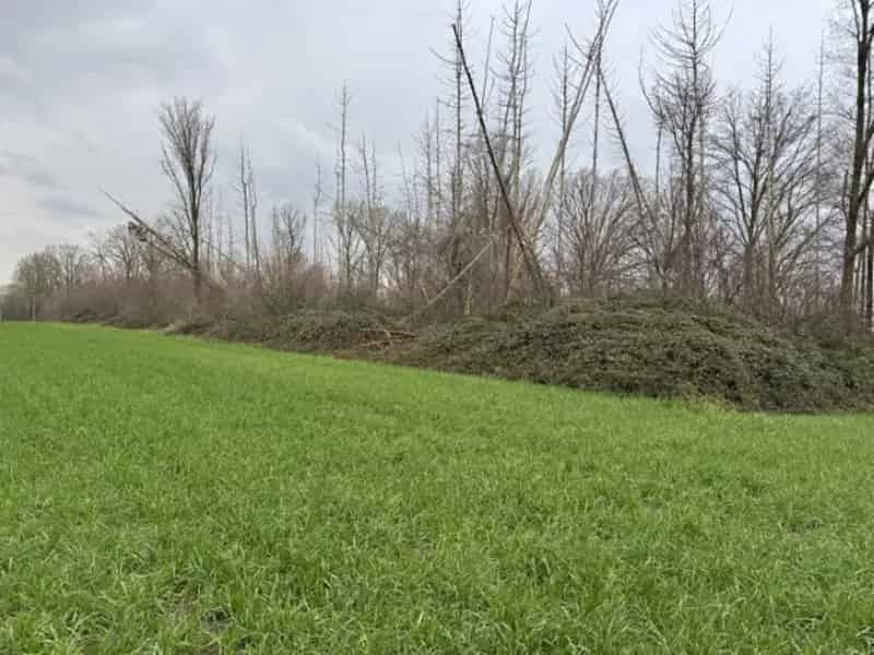 Grond te koop in Herenthout