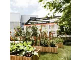 Nieuwbouwproject Idylles Schaarbeek Appartementen en Huizen