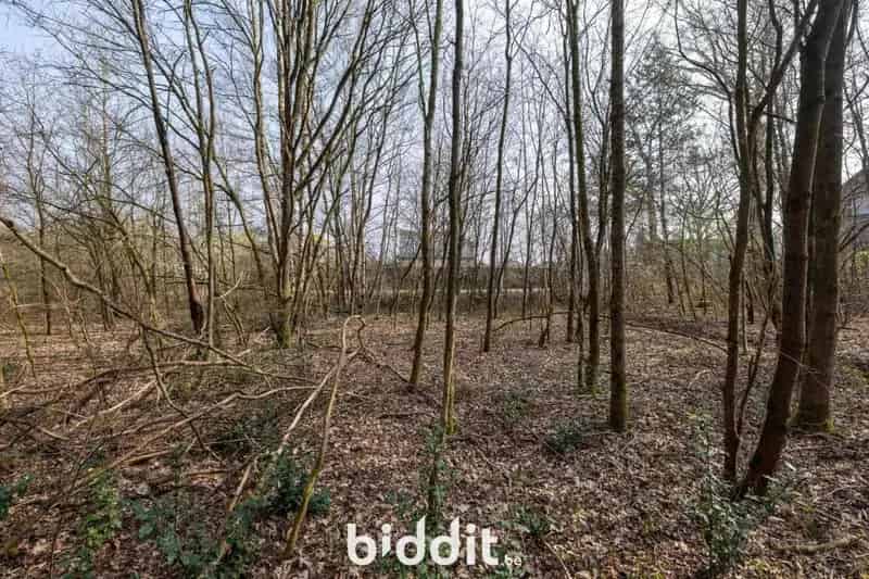 Bouwgrond 26a 98ca Beverlo - Eengezinswoning