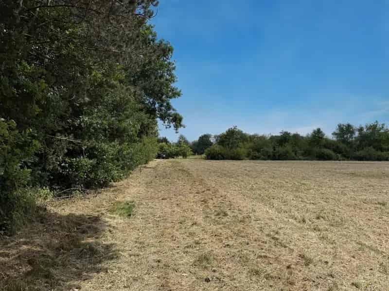Landbouwgrond te Koop Schriek 11500m2