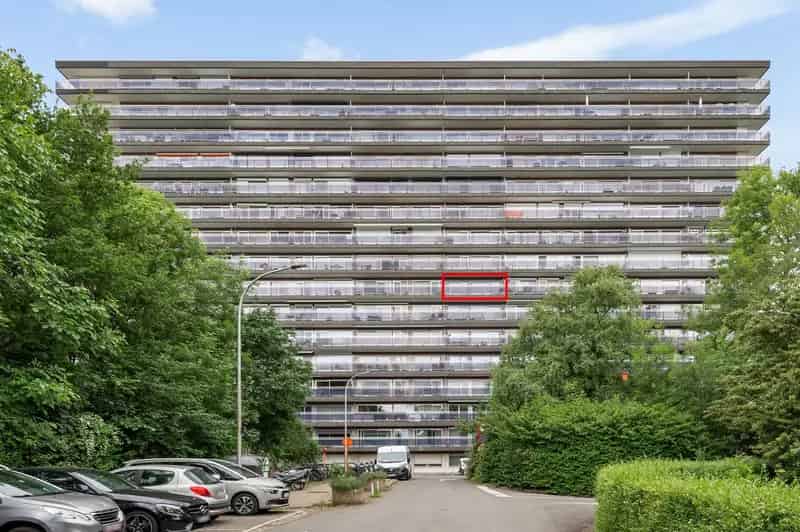 Ruim 2-slaapkamer appartement met 2 terrassen Sint Niklaas
