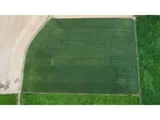 Landbouwgrond te koop Zarlardinge 11642m2
