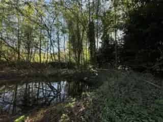 Recreatiegrond te Graffendonk Zoersel Weekendverblijf