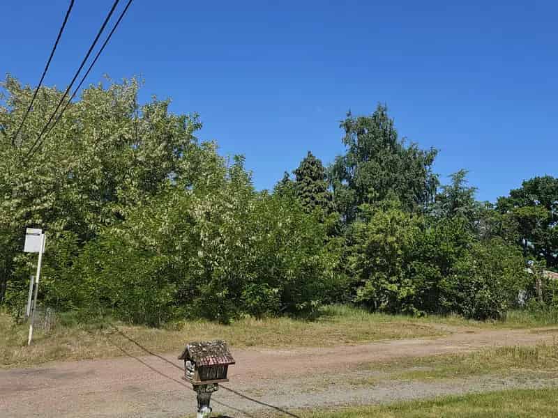 Bouwgrond 17a50ca Schoot Rustige Landelijke Omgeving
