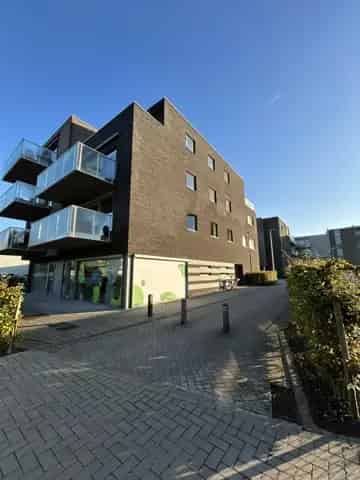 Studio te huur Lokeren Centrum: Modern appartement 1 slaapkamer