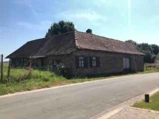 Boerderij - hoeve te koop - Néchin VBB54546