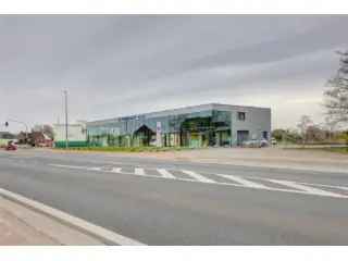 Handelspand te Huur Grembergen - Ruime Toonzaal en Kantoor