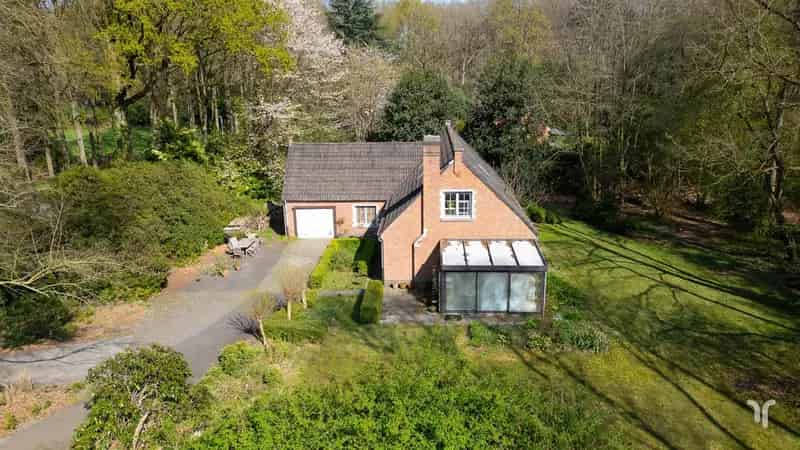 Huis te huur te renoveren 2330m² 4 slaapkamers 2 badkamers