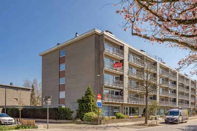 Appartement te koop 3 slaapkamers Brilschanspark
