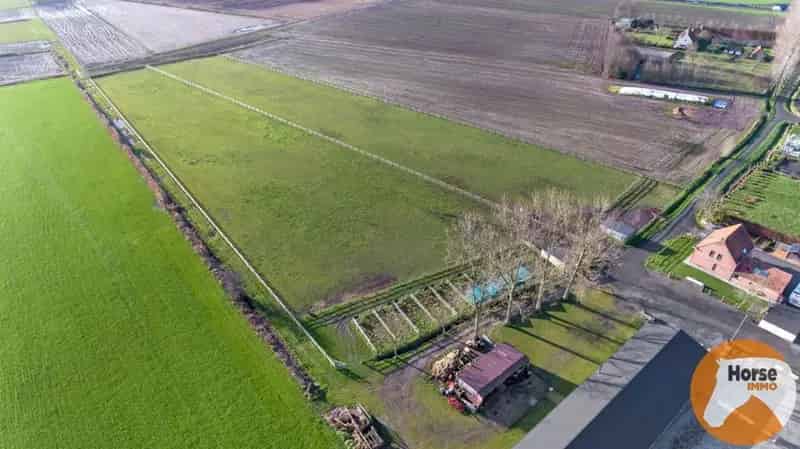 Huis te koop Damme: Paardeneigendom met piste en extra woning