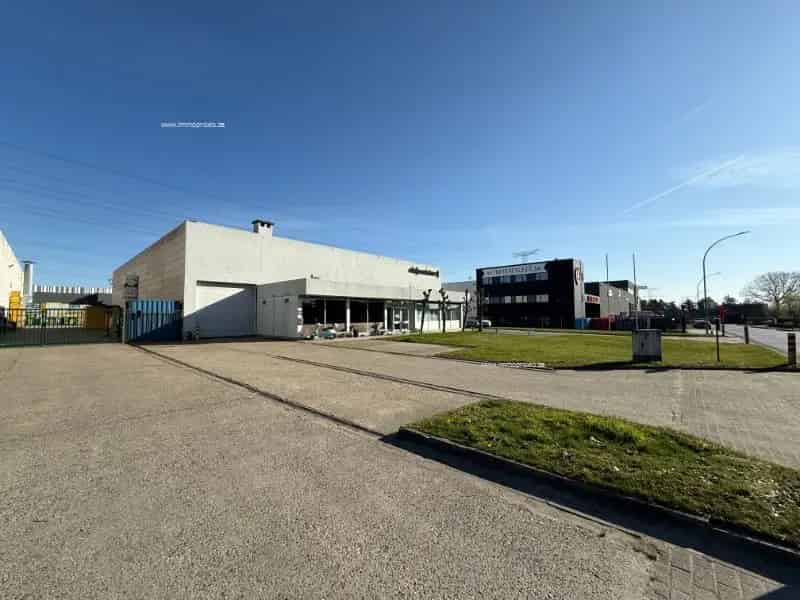 Bedrijfsvastgoed te koop Temse - Magazijn Kantoren Buitenruimte