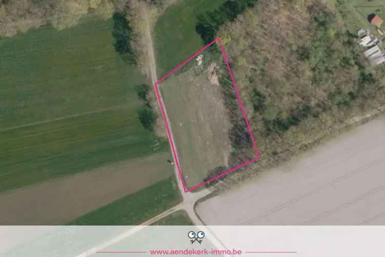 Landbouwgrond te huur Molenbeersel 3219m2