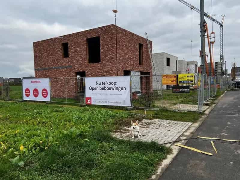 Nieuwbouw woning 4 slaapkamers Brecht