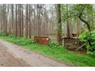 Bosgrond met Chalet te Gierle