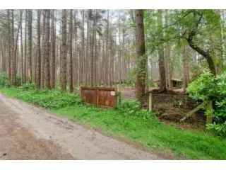 Bosgrond met Chalet te Gierle