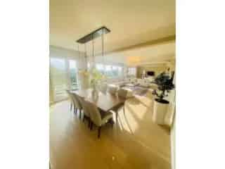 Penthouse te koop Antwerpen 3 slaapkamers Albertpark