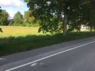 Bouwgrond te koop Couvin 31 are