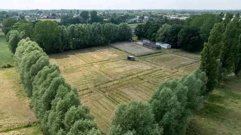 Paardenaccommodatie te huur Duffel