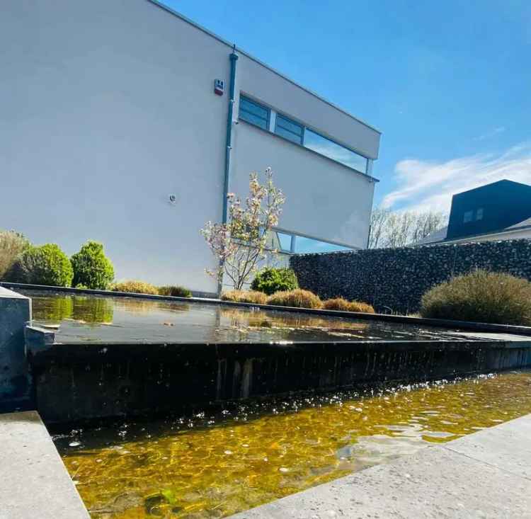 Luxueuze villa met bos en weides te Appelterre
