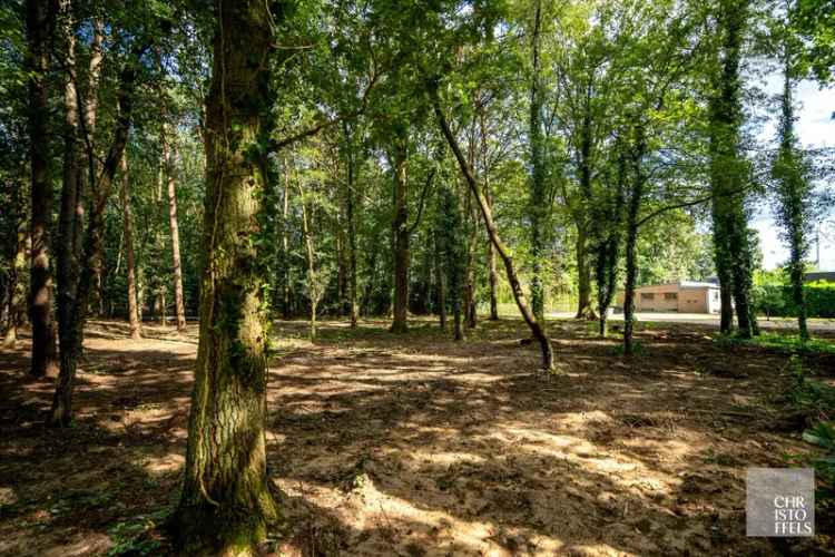 Deels gerenoveerde laagbouwvilla, residentieel gelegen in de bossen op een uitgestrekt perceel van 3.981m²