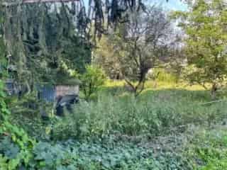 Bouwgrond Agimont 12 ares 29 centiares