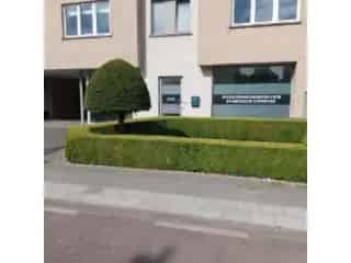 Handelsfonds te Koop Assebroek Dokterskabinet