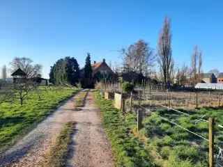 Boerderij - hoeve te koop - Stabroek RBJ77072