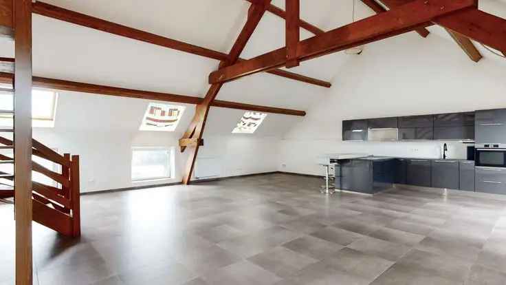 Penthouse Te Koop