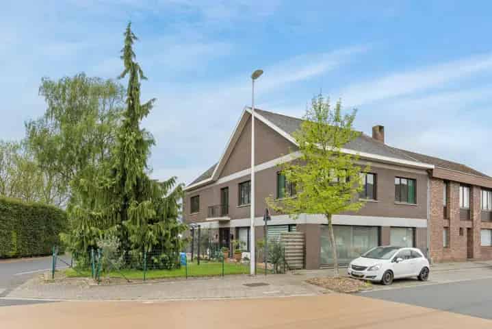 Appartement te Koop Kalken Laarne