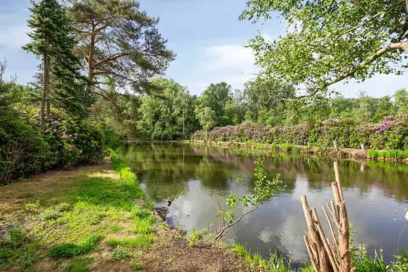 Recreatiegrond met Vijver te Koop Laakdal