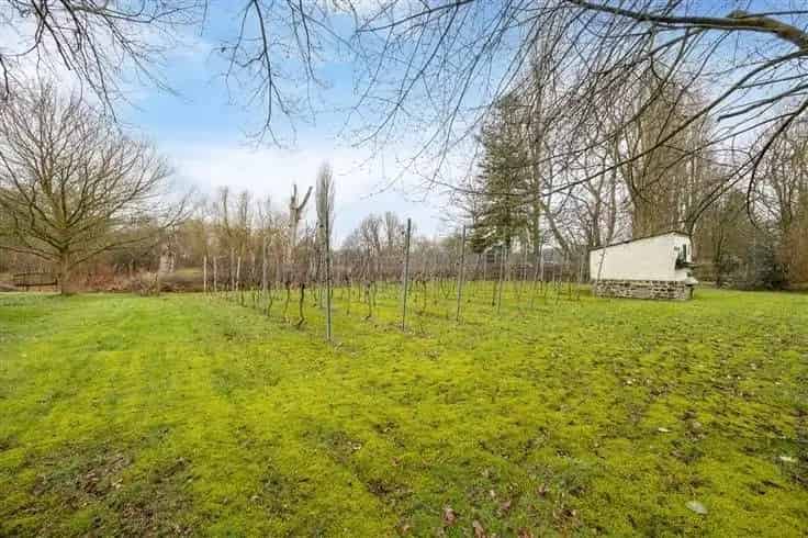 Huis Te Koop Karaktervolle Woning Toplocatie