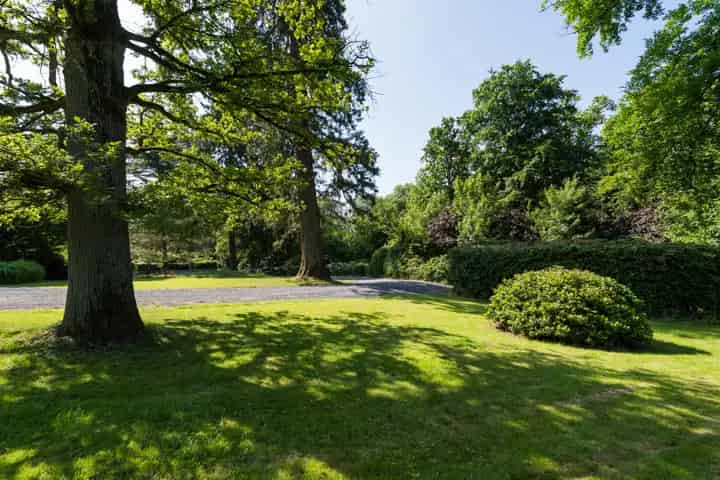 Bois de Mai 22