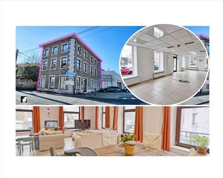 Appartement en Handelspand te Koop